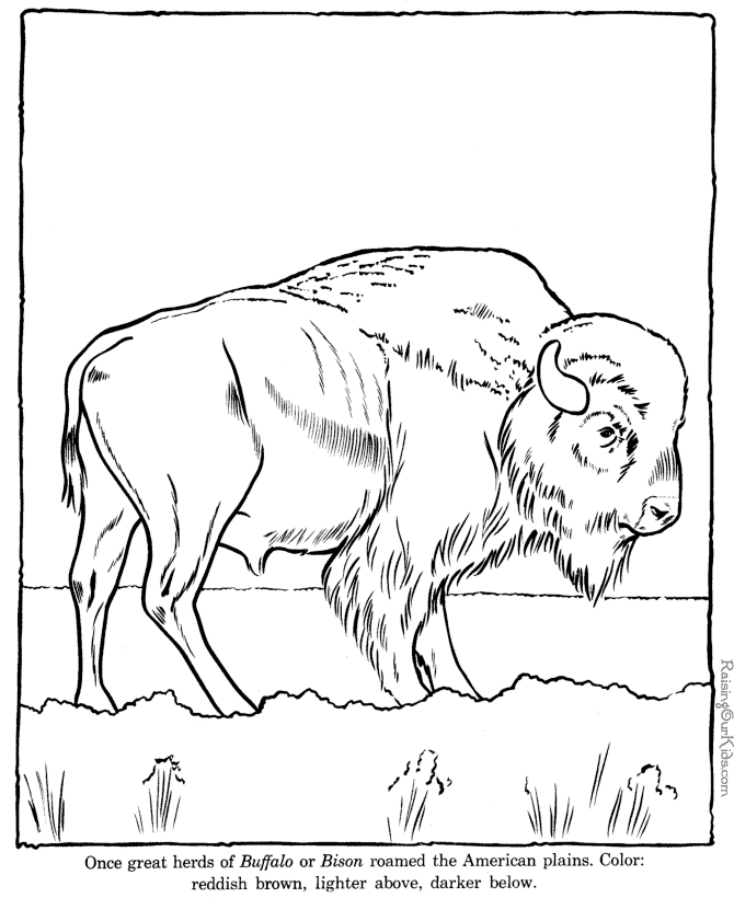 670x820 Buffalo Head Coloring Page Buffalo Coloring Pages The Art