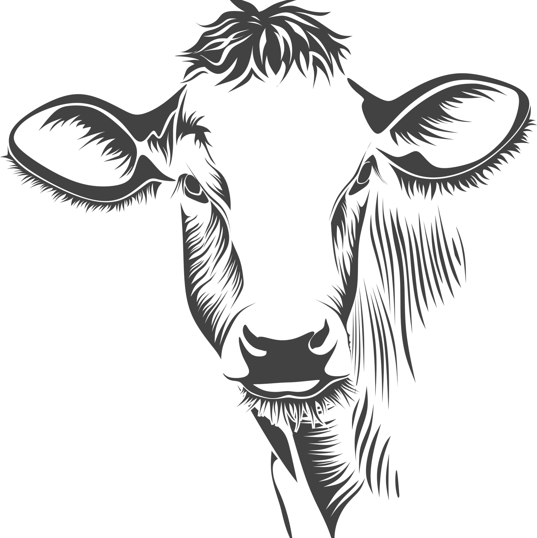 1808x1810 Natural Bison Meat Off Family Ranch