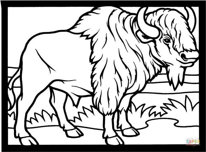 720x533 Plains Bison Coloring Page Free Printable Coloring Pages