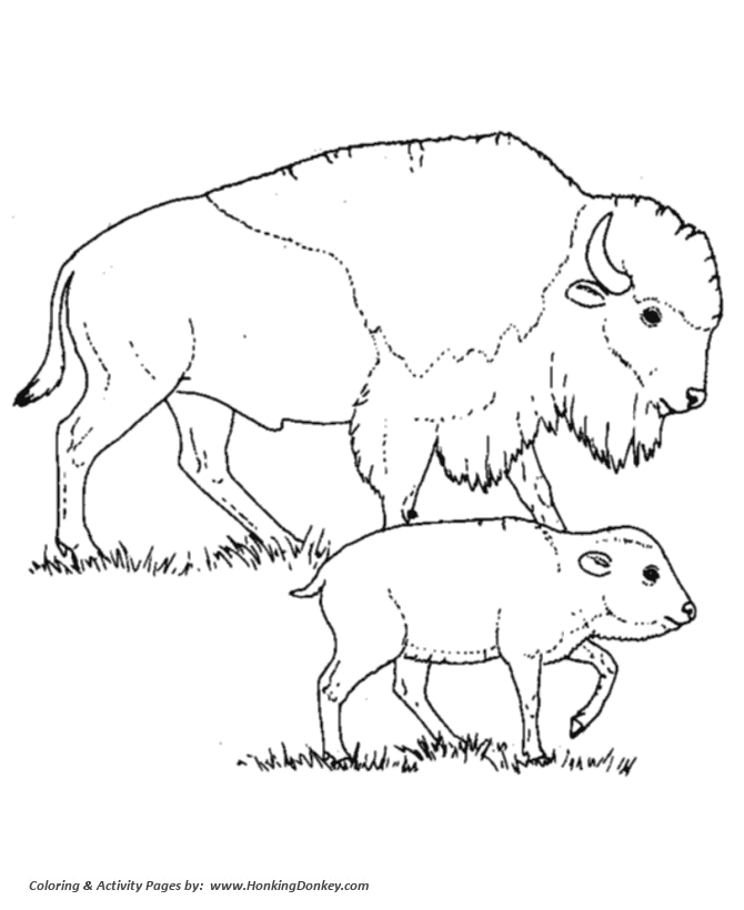 670x820 Wild Animal Coloring Page Bison Mother And Calf Coloring Page