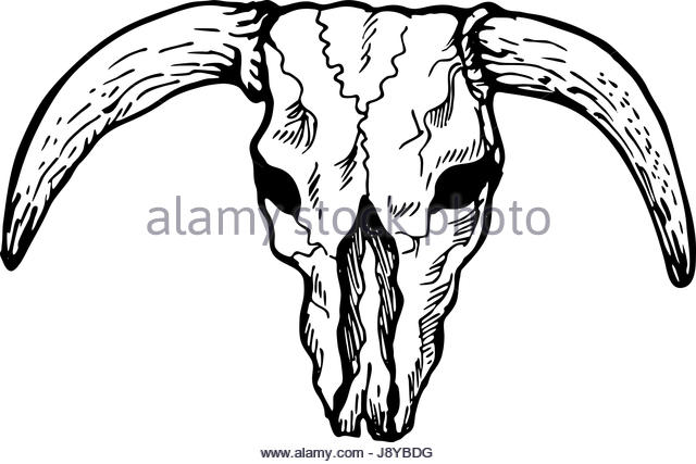 640x427 Cow Skull Black And White Stock Photos Amp Images