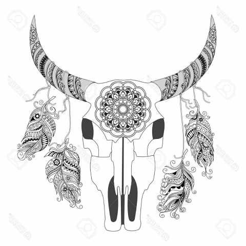 480x480 Matching Cow Skull Tattoo Design