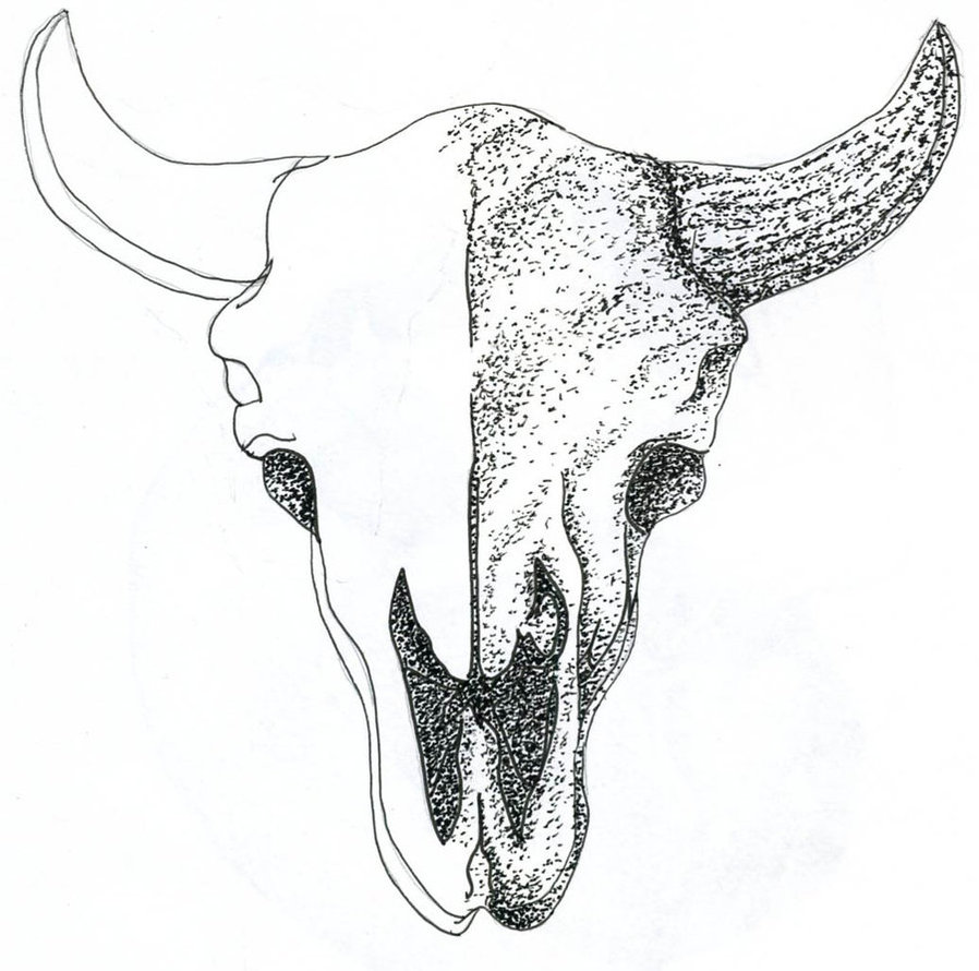 898x890 Stipple Bison Skull By Ecko319