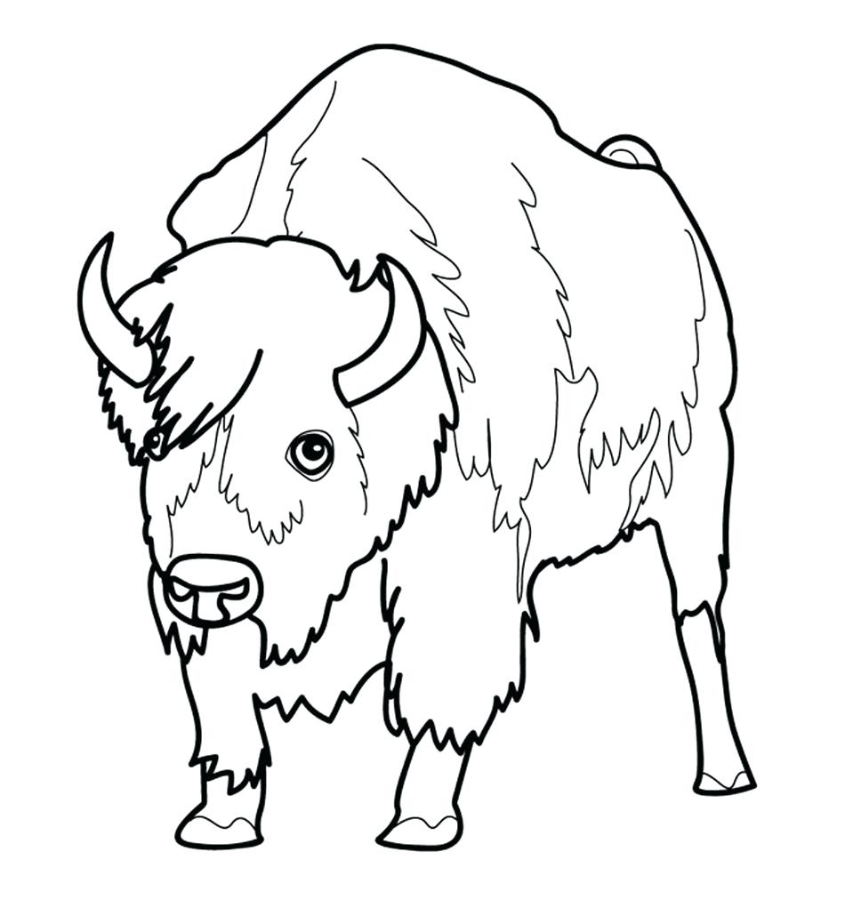 950x1012 Coloring Pages ~ Baby Animal Coloring Pages Page Colouring