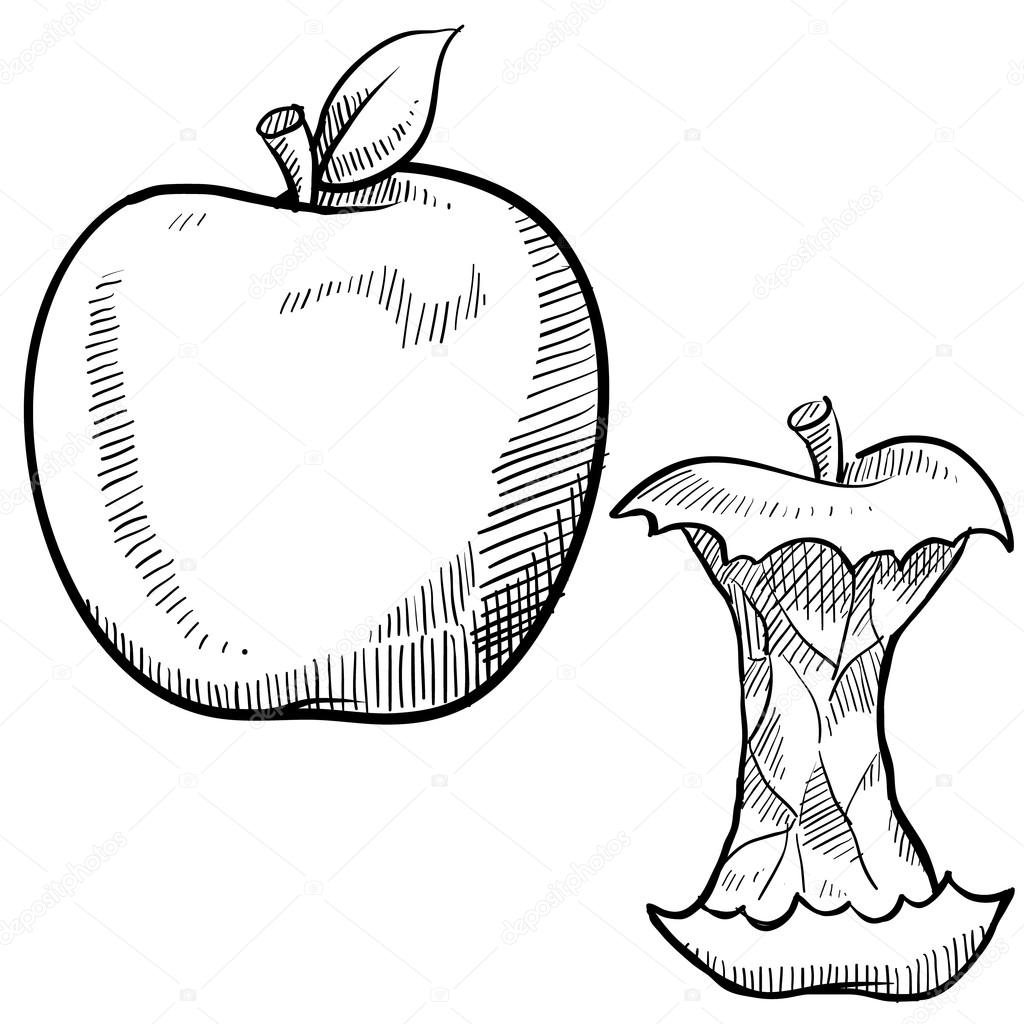 1024x1024 Apple And Apple Core Sketch Stock Vector Lhfgraphics