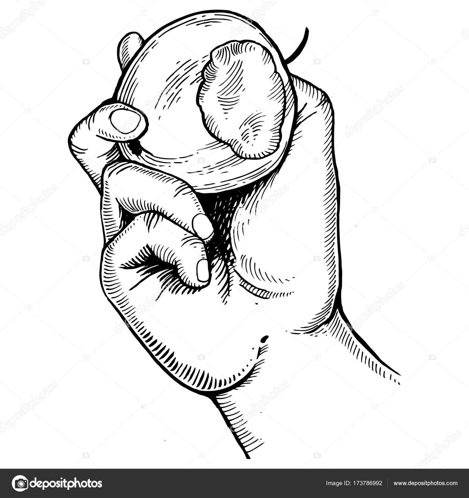 1600x1700 Hand And Bitten Apple Engraving Vector Stock Vector