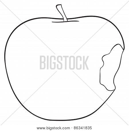 450x456 Pedicle Images, Illustrations, Vectors