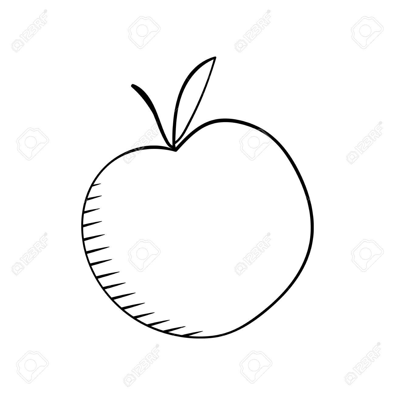 1300x1300 Vector Hand Drawn Apple. Fruit Sketch On A White Background