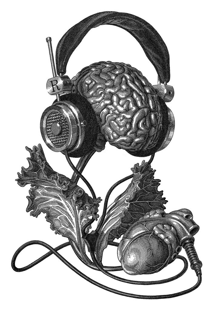 703x1024 Olivia Knapp's Pen And Ink Drawings Of Bizarre Still Lifes Hi