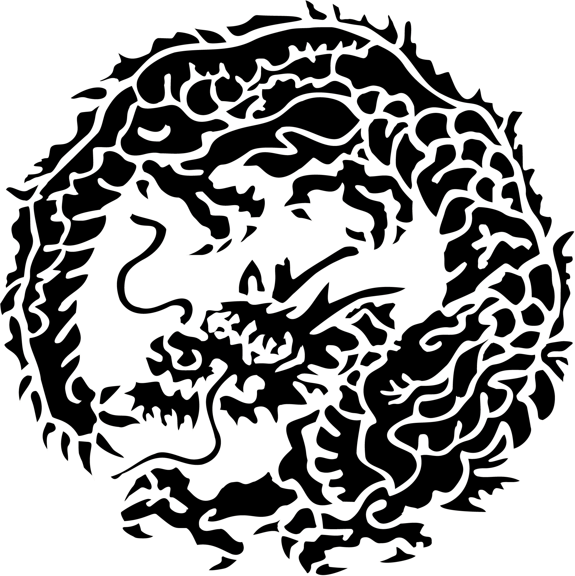 2000x2005 Learning Bjj In A Digital Age