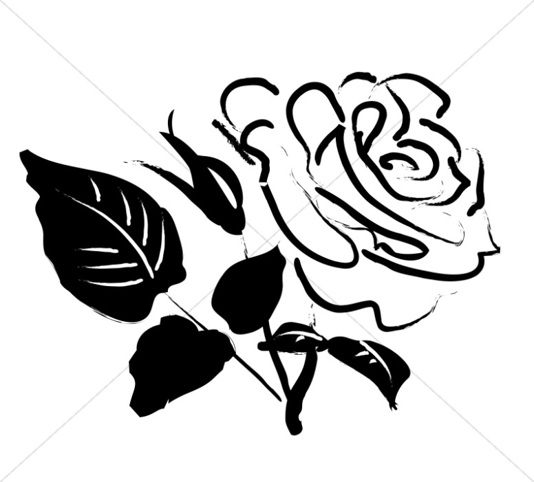 776x701 Rose Blossom Sketch Church Rose Clipart