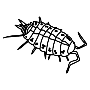 300x300 Learn How To Draw Animals Step By Step