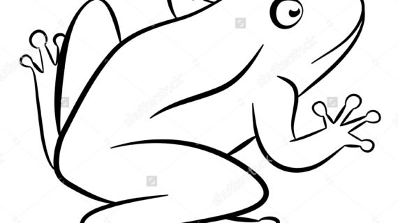 570x320 Outline Drawing Of Animals Dog, Cat, Rabbit Animal Drawing Vector