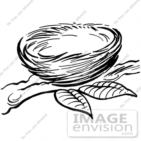 450x450 Clipart Of A Bird Nest On A Branch In Black And White