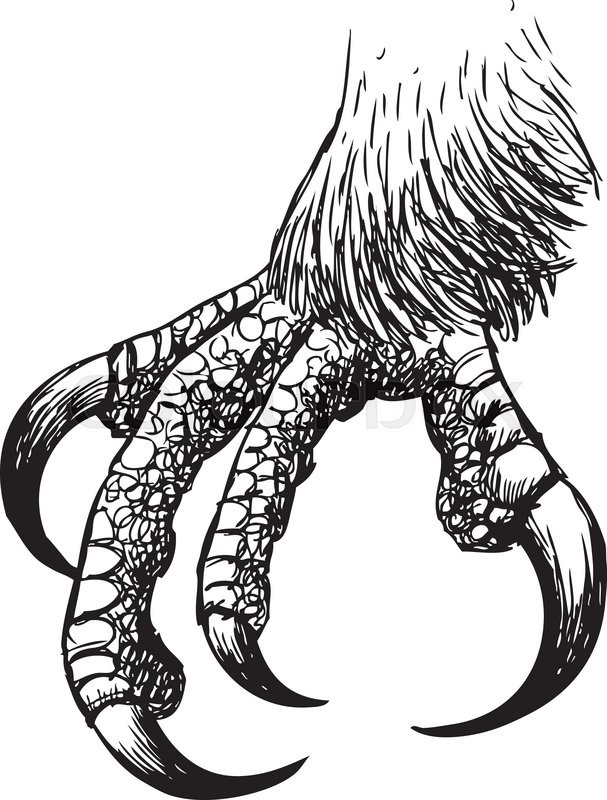 607x800 Freehand Sketch Illustration Of Eagle Claw, Hawk Bird Doodle Hand