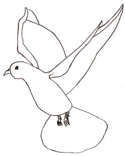 250x312 How To Draw A Dove