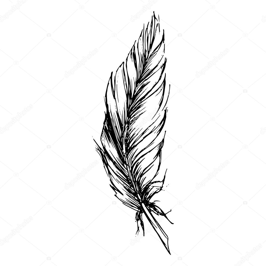 1024x1024 Monochrome Black And White Bird Feather Vector Sketched Art