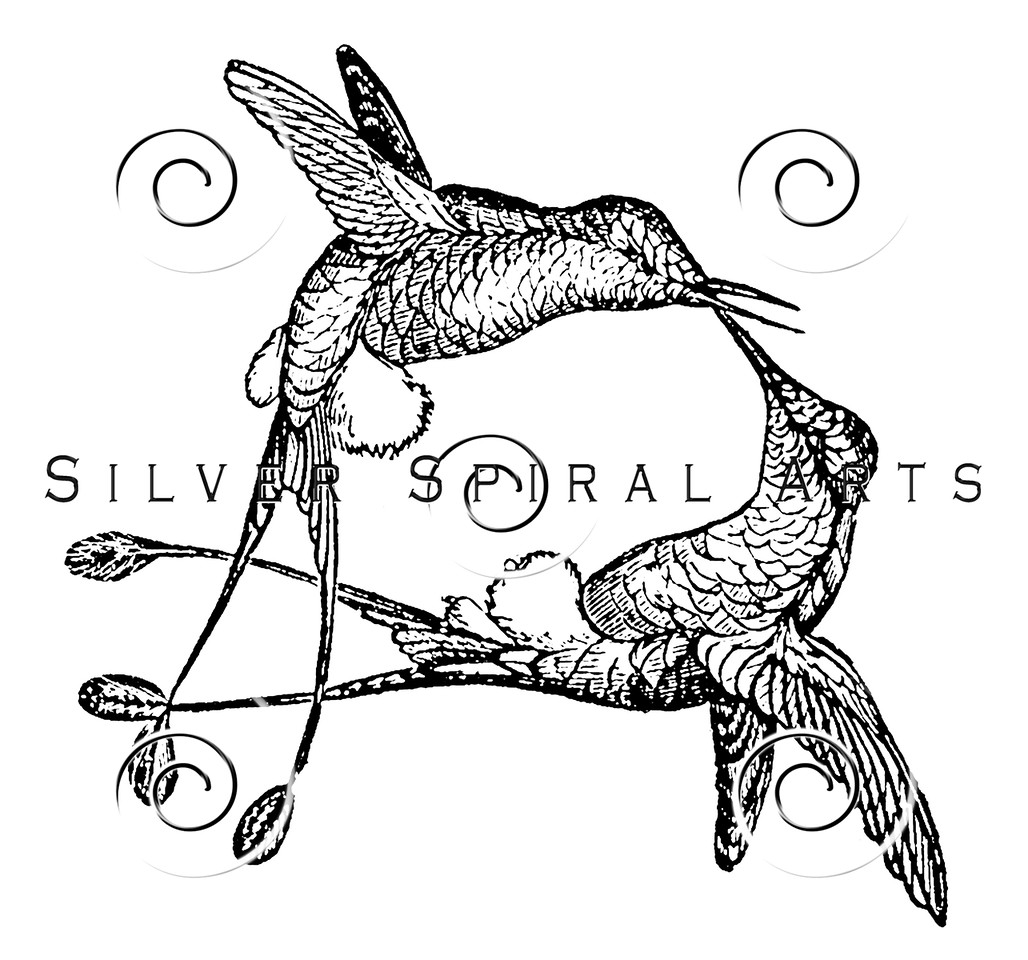 1028x960 Royalty Free Stock Vintage Illustrations Photo Keywords Hummingbirds