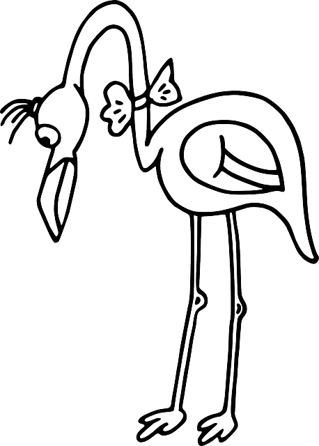 458x640 Black, White, Bird, Bow, Flamingo, Long, Neck, Animal
