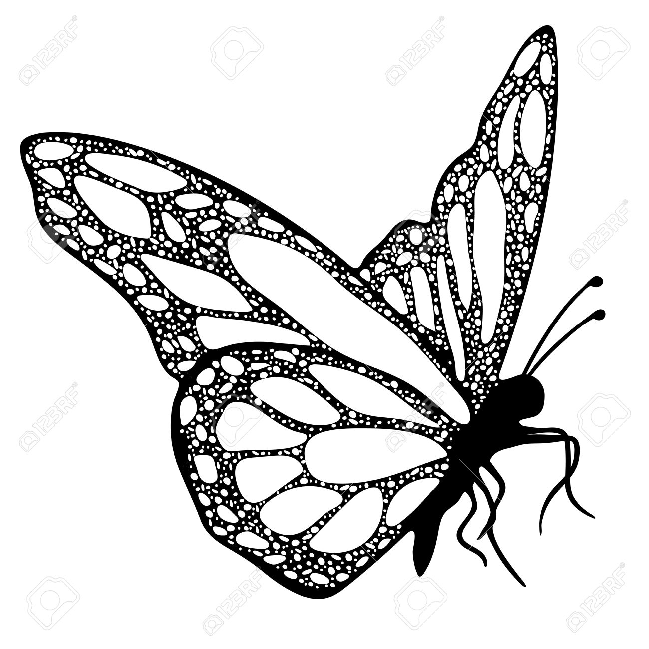 1300x1300 Butterfly, Monochrome, Coloring Book, Black And White Illustration
