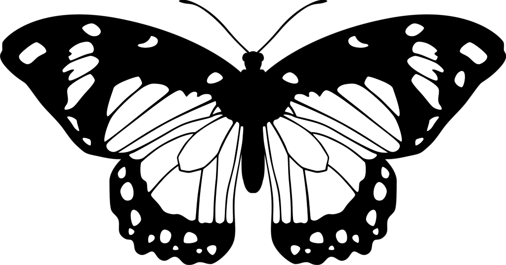 1024x537 Butterfly (Black And White) By Eiluvision
