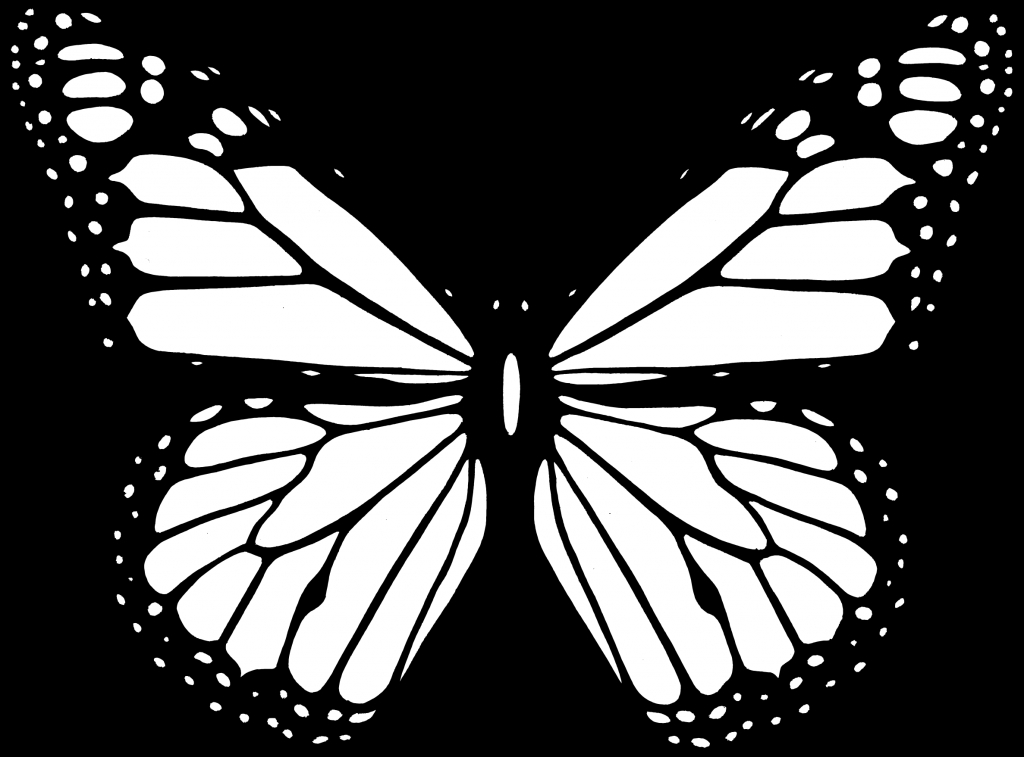 1024x757 Butterfly Drawing Black And White Clipart Black And White