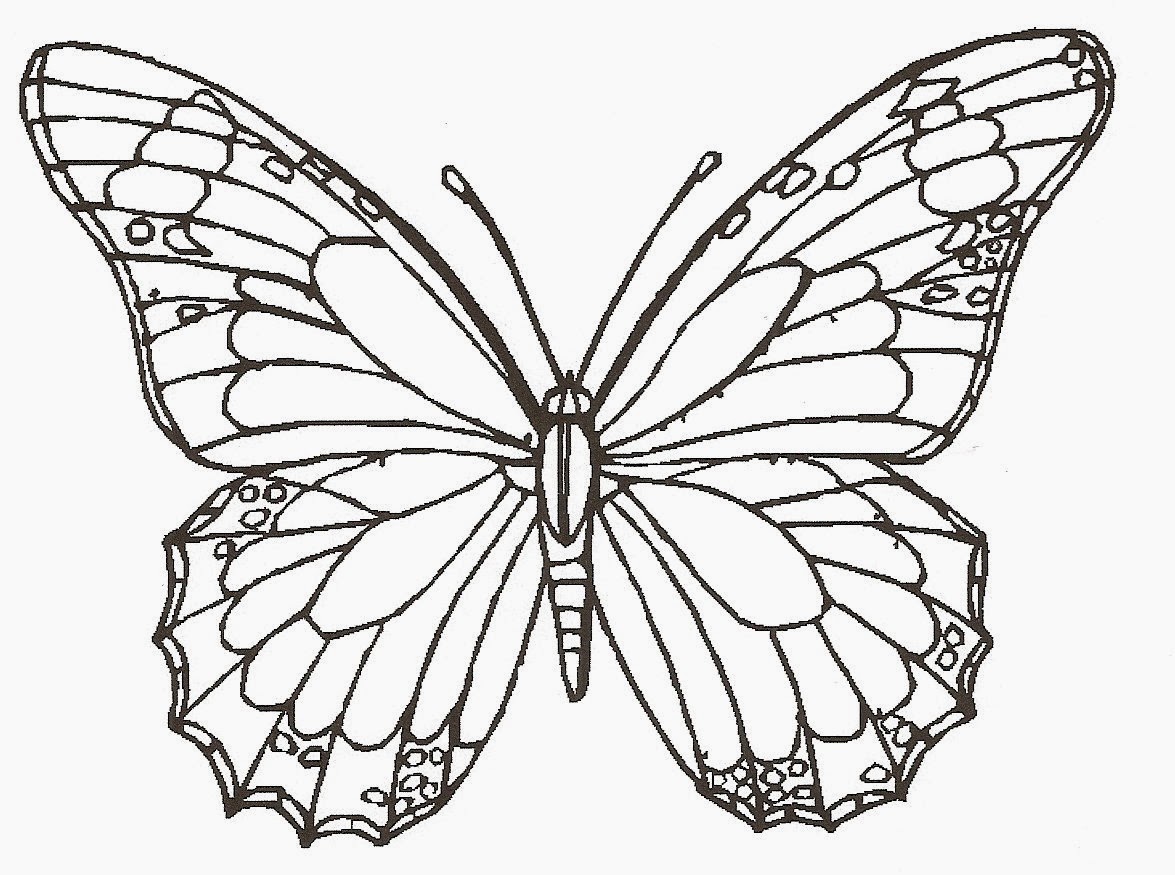1175x875 Butterfly And Pencil Clipart