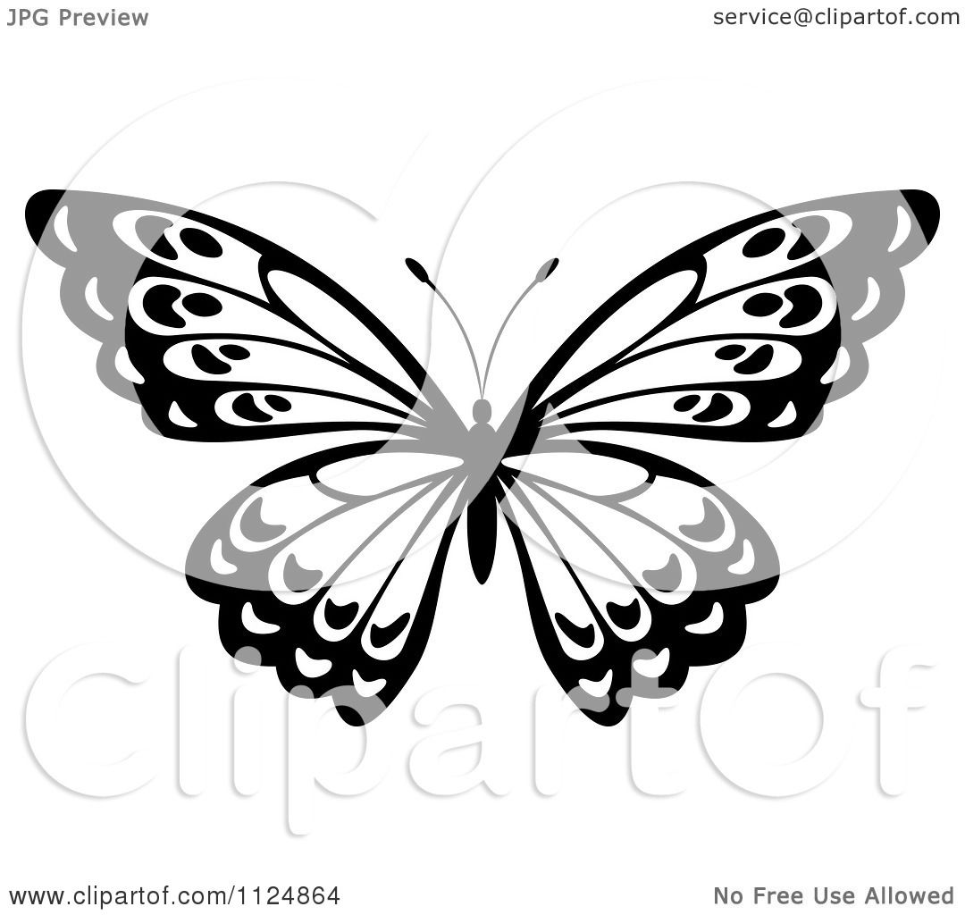 1080x1024 Clipart Of A Black And White Butterfly 22