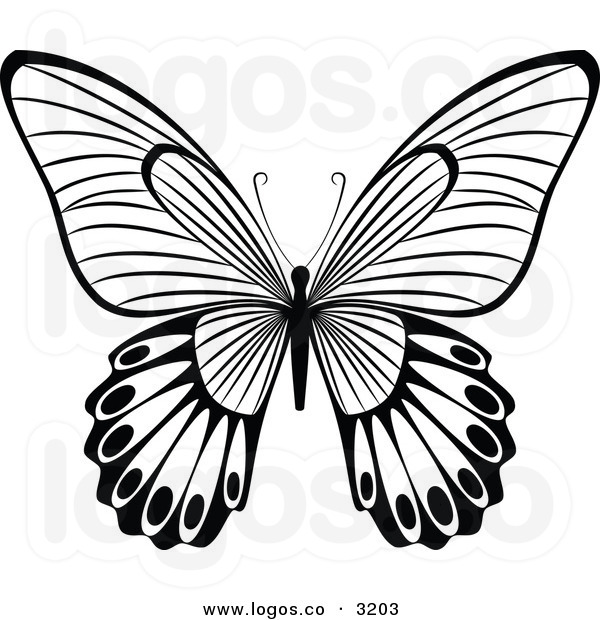 600x620 Royalty Free Vector Of A Black And White Butterfly Flying Logo By