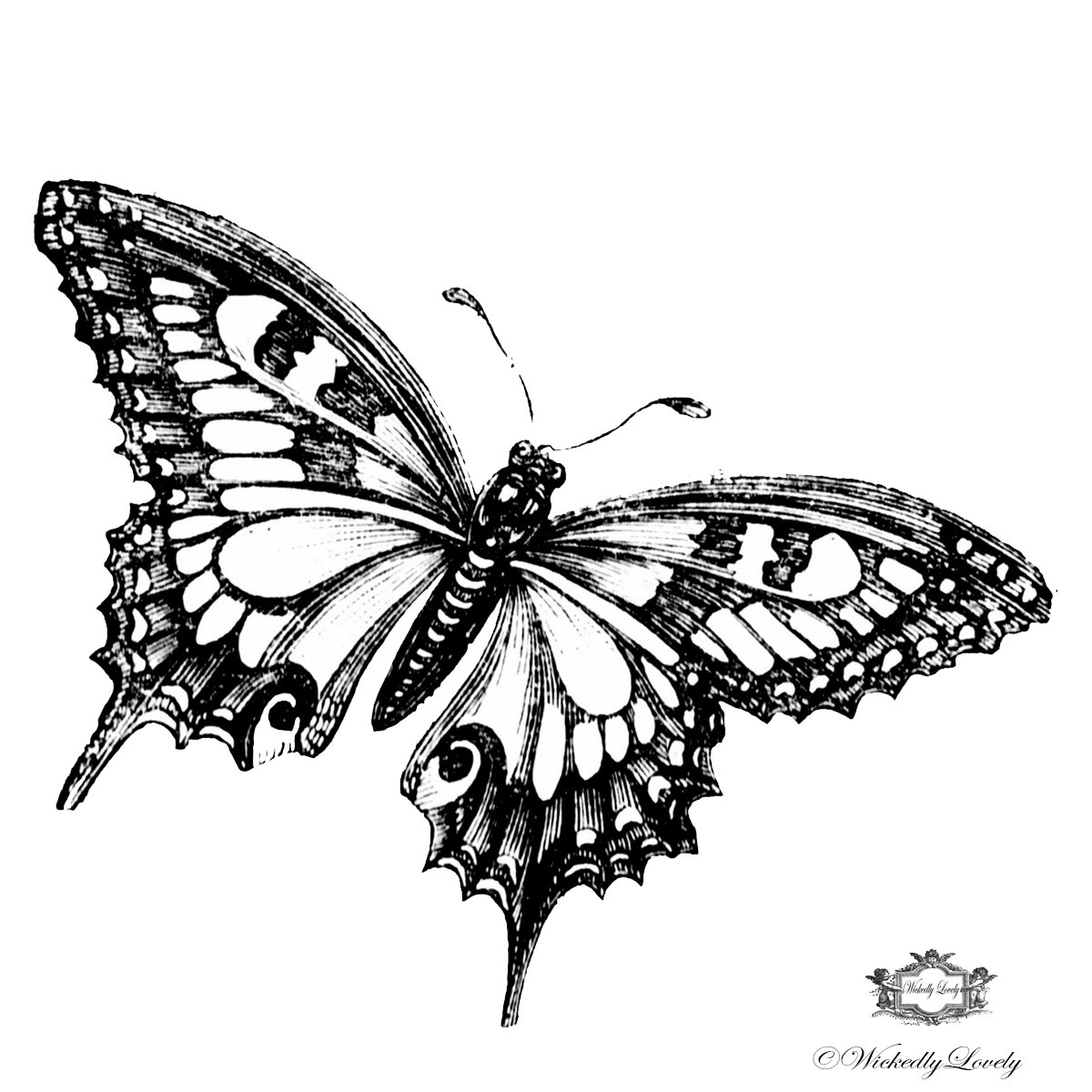 1200x1200 Beautiful Black And White Butterfly Butterfly Tattoo Body