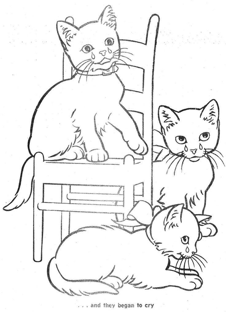 736x1015 Drawn Kittens Little Cat
