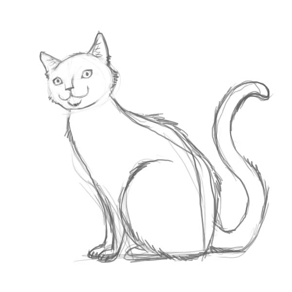 600x600 How To Draw A Cat