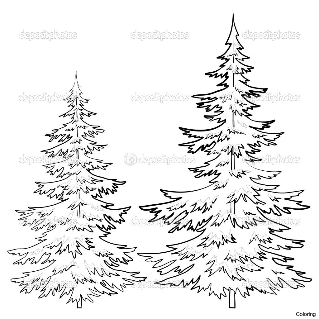 1024x1024 Hd Christmas Tree Drawing Pics Images Pine Drawings Coloring 23f