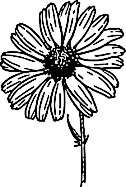 405x600 Free Daisy Clipart
