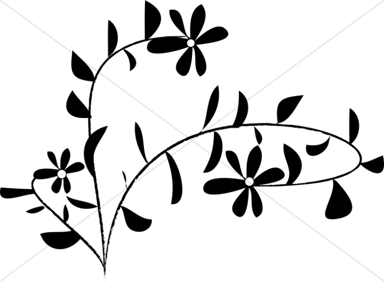 776x569 Black And White Daisy Accent Church Flower Clipart