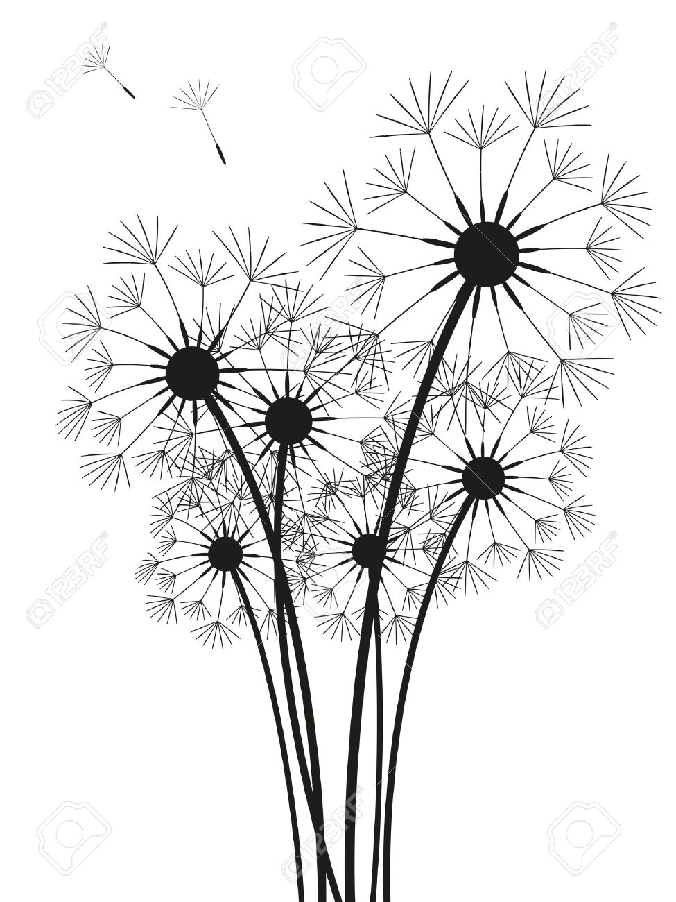 975x1300 Dandelions Silhouette Isolated On White Royalty Free Cliparts