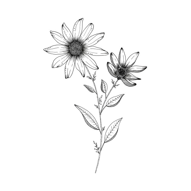 630x630 Wildflower Ink Drawing