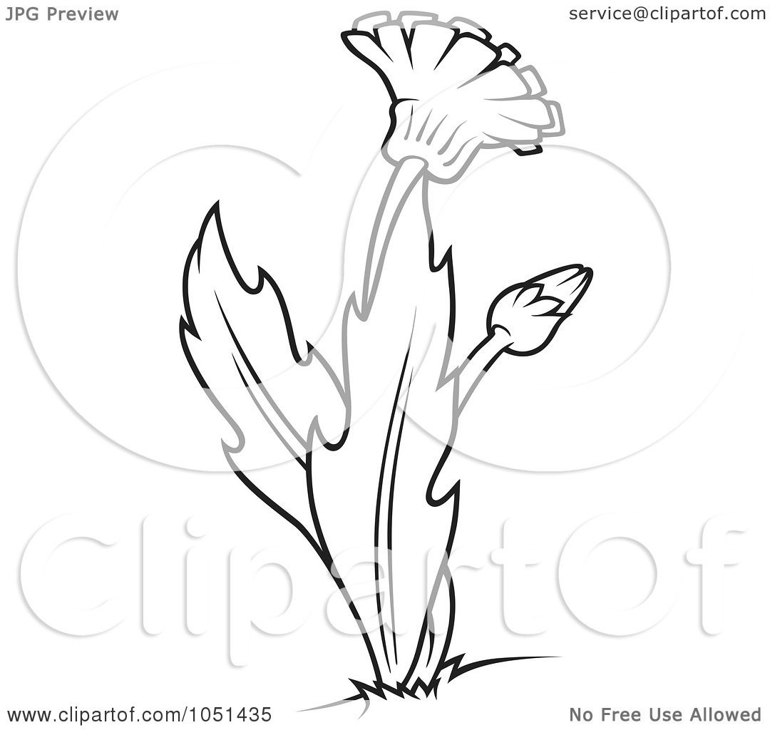 1080x1024 Weed Clipart Dandelion Flower