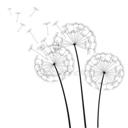 450x450 Dove And Black Dandelions Stock Vector Dr.pas