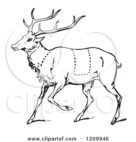 450x470 Clipart Of A Black And White Deer With Butcher Sections Of Venison