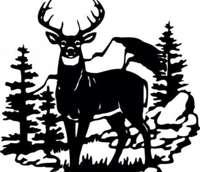 640x550 Deer Scene Wildlife Decal 10 X 14 Large Black Or White Vinyl Car