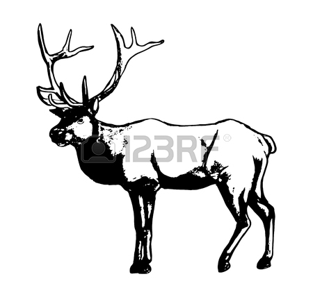 450x428 Graphic Image Of Deer. Black Outline Of A Reindeer On A White