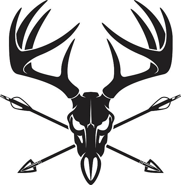 601x612 Hunting Clipart Whitetail Deer