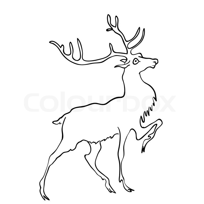800x800 Vector Drawing Of Deer Stock Vector Colourbox