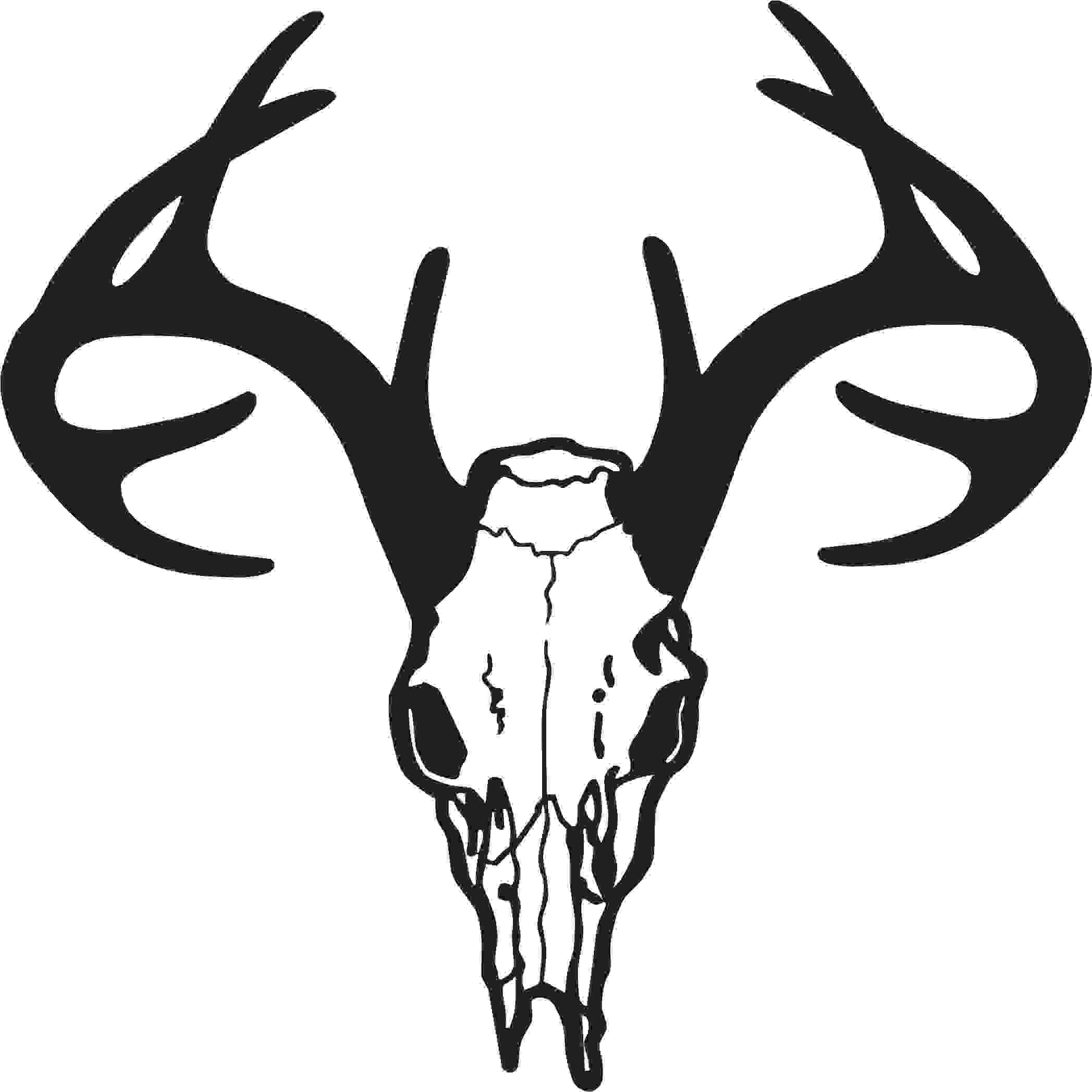 2095x2095 Deer Buck Head Clipart