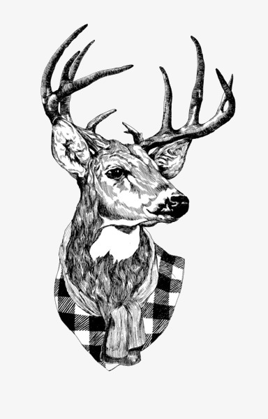 384x600 Black And White Deer, Black And White, Deer, Simple Png Image