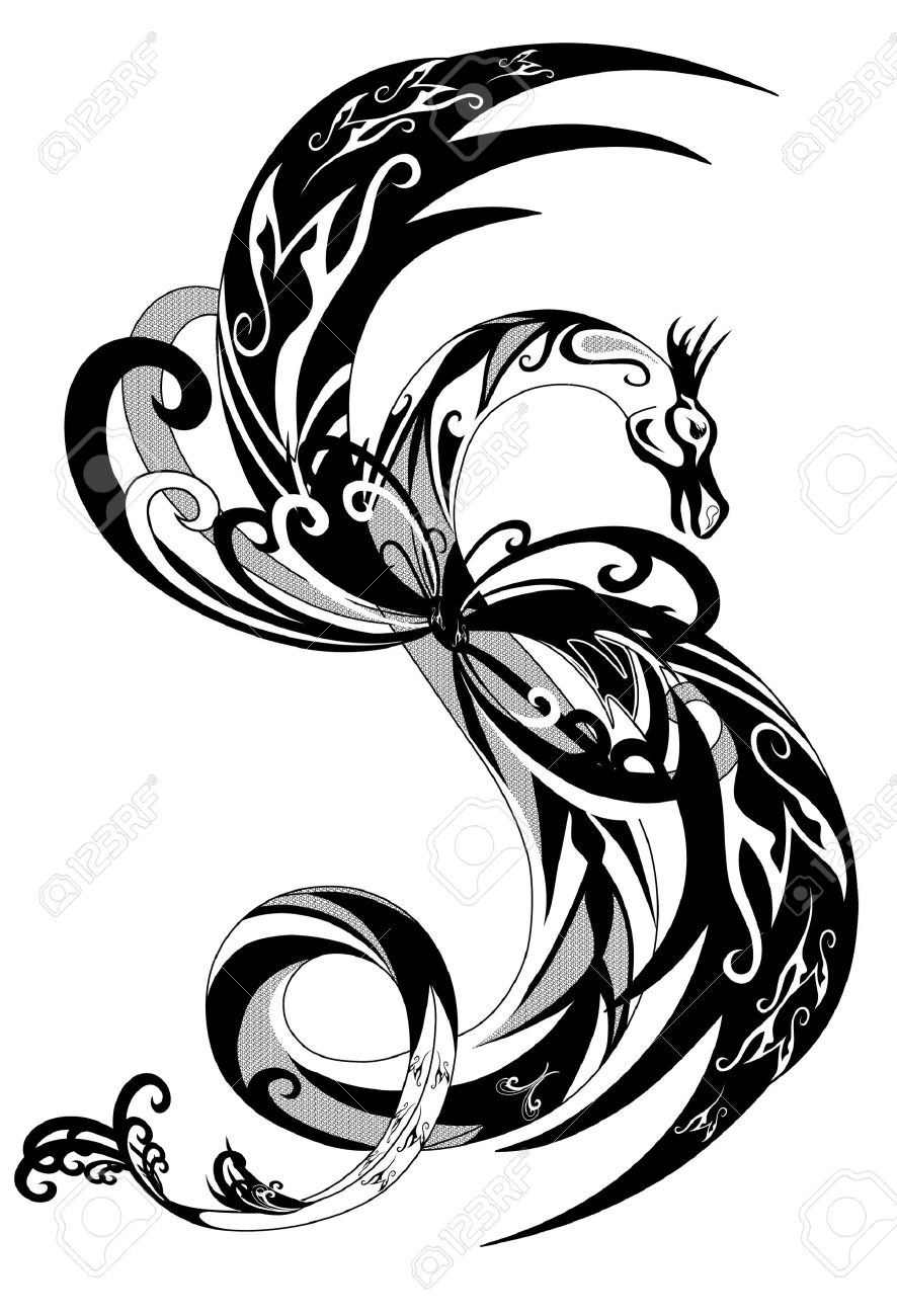 886x1300 Black And White Dragon Outline Illustration Royalty Free Cliparts
