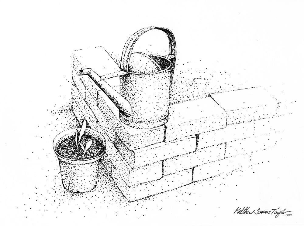 1000x745 Watering Can A Black And White Pointillism Illustration