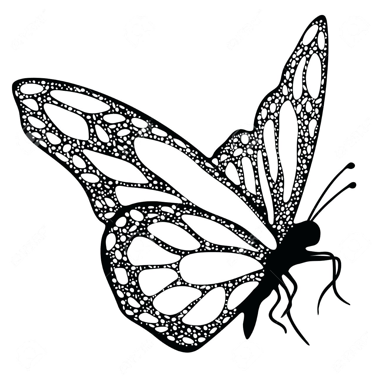 1300x1300 Coloring Coloring Picture Of A Butterfly
