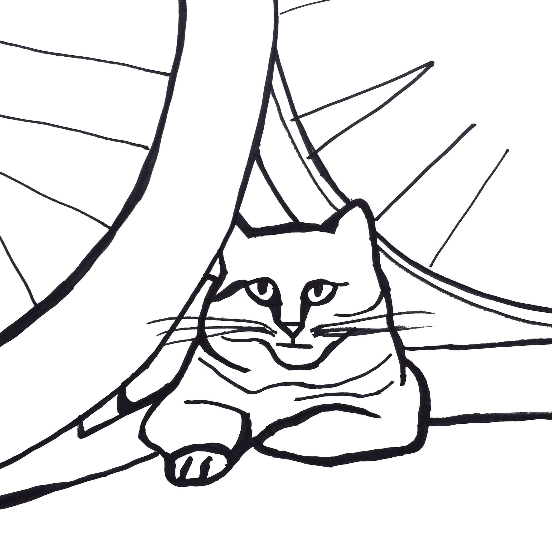 Black And White Drawing Of A Cat